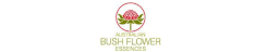 Australian Bush Flowers