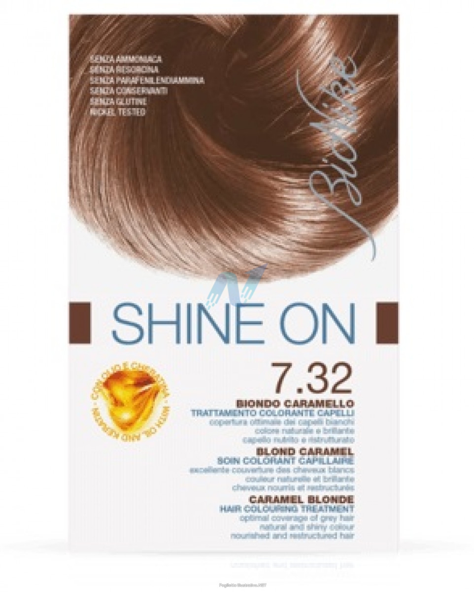 Bionike Tinta Shine ON N7.32 Biondo Caramello